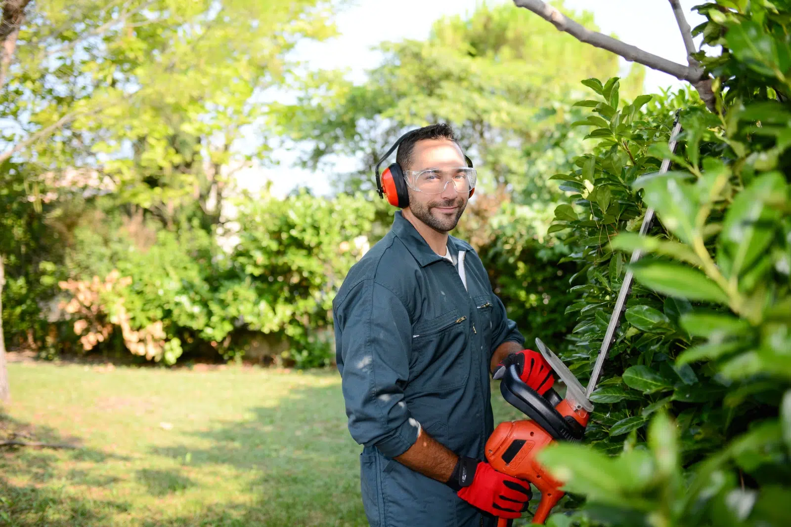 AdobeStock_227895318 Paysagiste à Entzheim